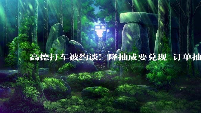 高德打车被约谈！降抽成要兑现 订单抽成不能层层加码_平台_自营_服务